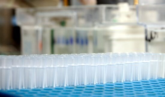 Se financiarán 2 proyectos sobre síndrome GLUT1 y discapacidad intelectual.