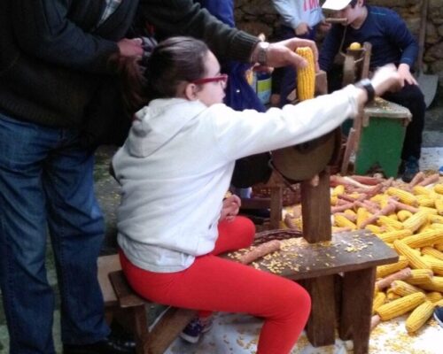 Glut1 en la escuela. La Educación Inclusiva responsabilidad de todos.