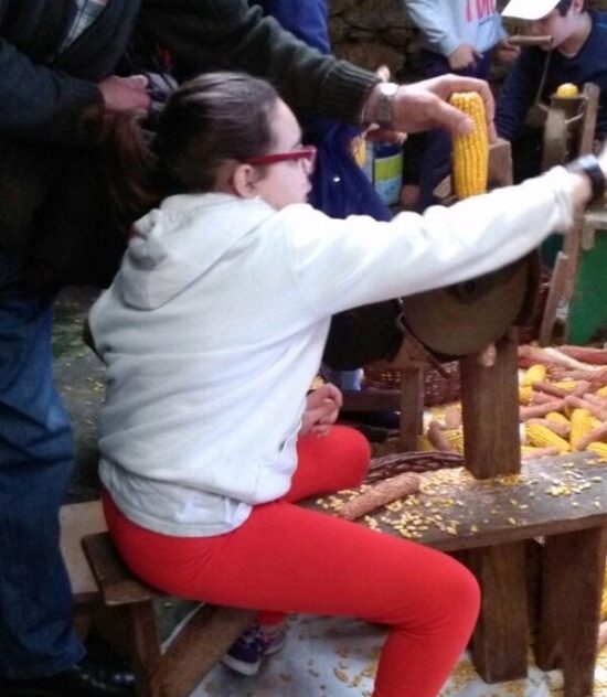 Glut1 en la escuela. La Educación Inclusiva responsabilidad de todos.