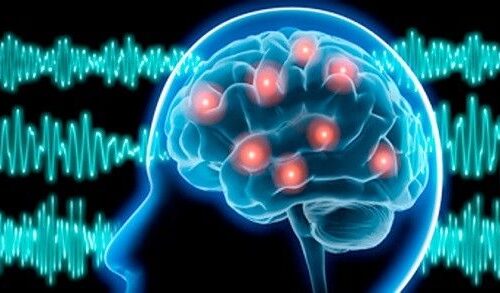Control eléctrico en neuronas gracias a la Dieta Cetogénica