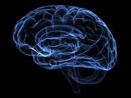 Perfiles cognitivos generales en pacientes con síndrome de deficiencia de GLUT1