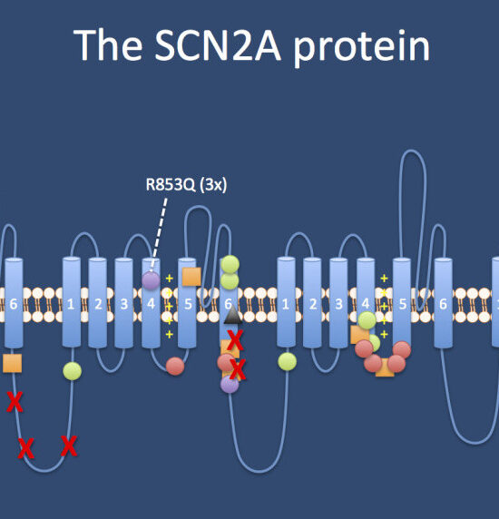 La Dieta Cetogénica tratamiento para la mutación  SCN2A
