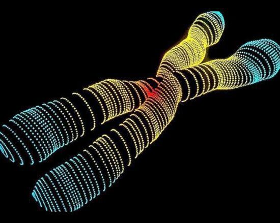 Un nuevo sistema de edición genética perfecciona a la tecnología CRISPR