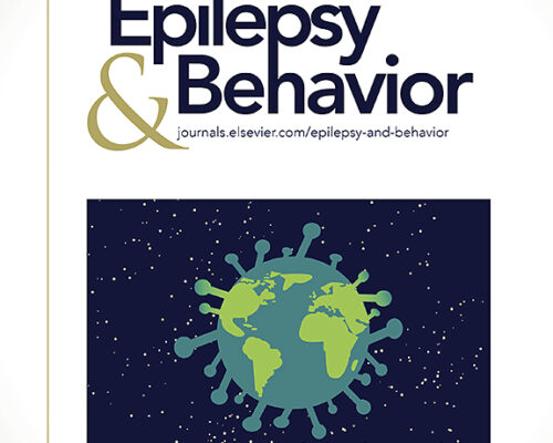 Epilepsias: Nuevas inversiones para la investigación.