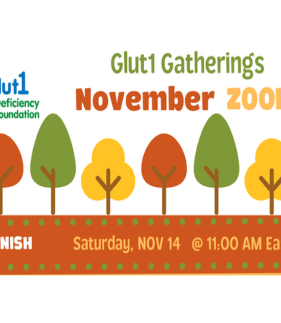 Reunión virtual Comunidad  Glut1 mes de noviembre 2020