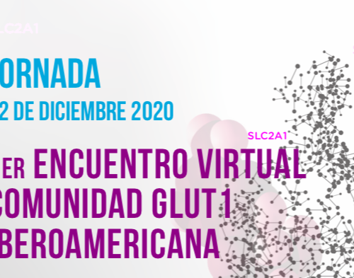Ponencias 1er Encuentro Virtual Comunidad Glut1 Iberoamericana