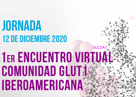 Ponencias 1er Encuentro Virtual Comunidad Glut1 Iberoamericana