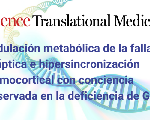 Últimos estudios en Glut1 demuestran que, la glucosa baja en cerebro es la raíz del problema y las muchas implicaciones metabólicas posteriores que causa 