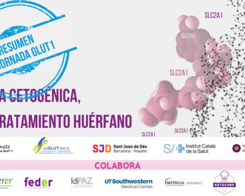 RESUMEN IV jornada Glut 1 España 2022