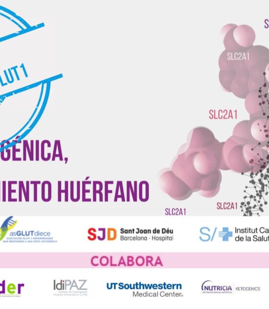 RESUMEN IV jornada Glut 1 España 2022