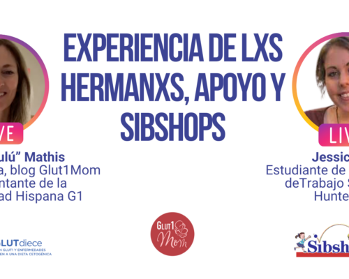 Experiencia de los Hermanos, Apoyo y Sibshops