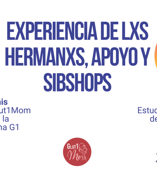 Experiencia de los Hermanos, Apoyo y Sibshops