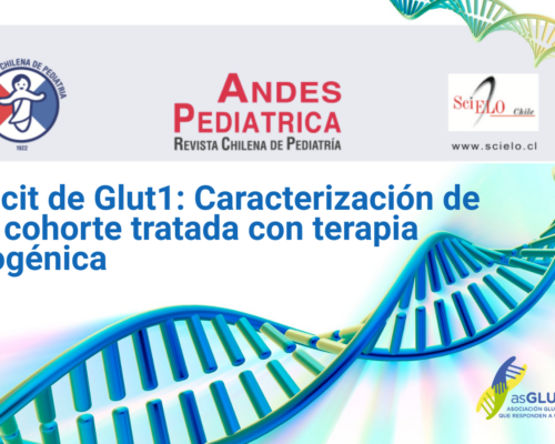Glut1DS: Caracterización de una cohorte tratada con terapia cetogénica