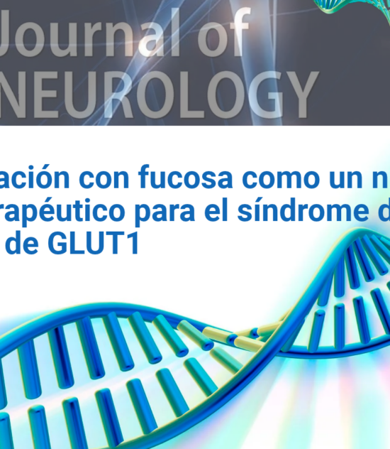 Suplementación con fucosa como un nuevo enfoque terapéutico para el síndrome de deficiencia de GLUT1